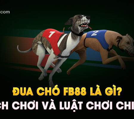 Đua Chó FB88 Là Gì? Cách Chơi Và Luật Chơi Chi Tiết