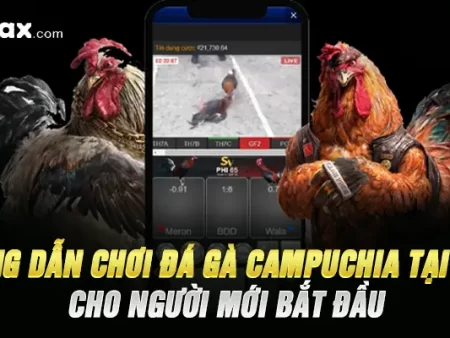 Hướng Dẫn Chơi Đá Gà Campuchia Tại Fb88 Cho Người Mới Bắt Đầu