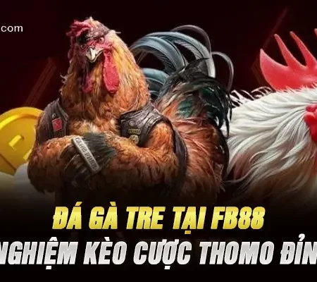 Đá Gà Tre Tại FB88 – Trải Nghiệm Kèo Cược Thomo Đỉnh Cao