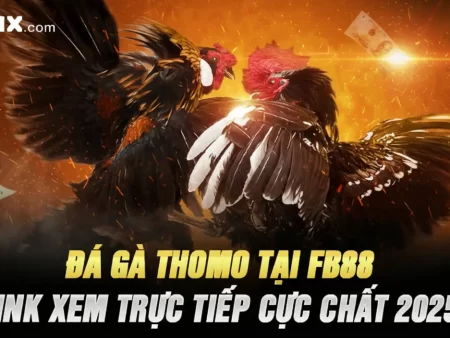Đá Gà Thomo Tại Fb88 – Link Xem Trực Tiếp Cực Chất 2025