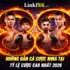 Hướng Dẫn Cá Cược MMA Tại Fb88 – Tỷ Lệ Cược Cao Nhất 2026